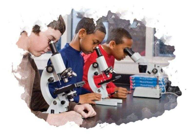 11 лучших детских микроскопов - рейтинг 2020