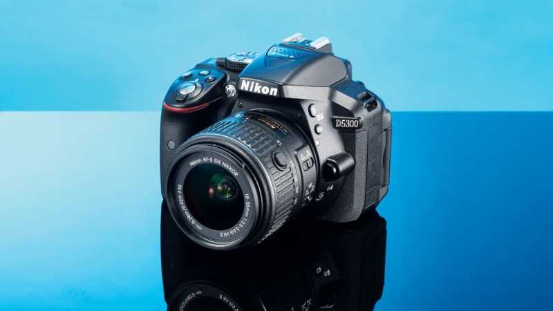 Топ-15 лучших зеркальных фотоаппаратов — рейтинг 2021 года