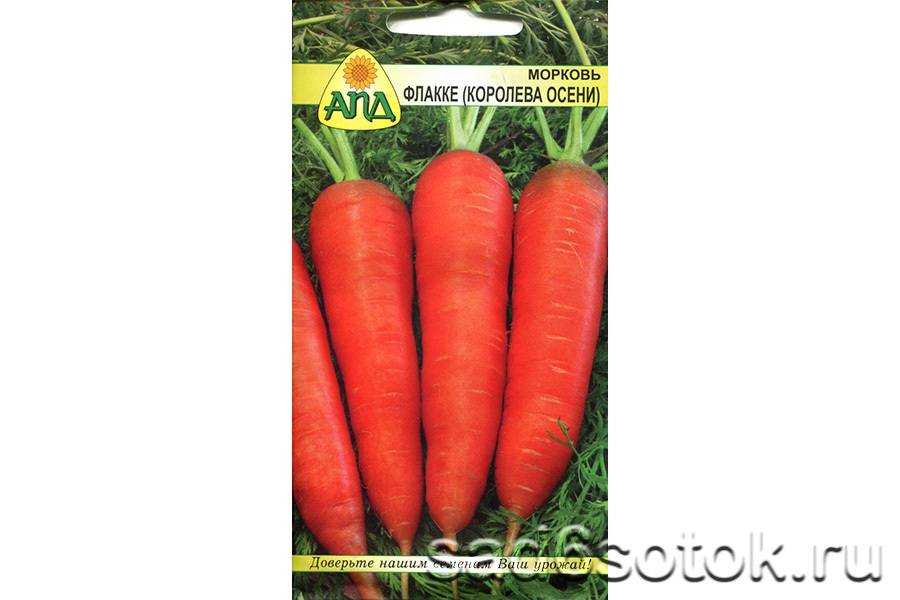 Лучшие сорта моркови 2020 [описание, фото, урожайность]