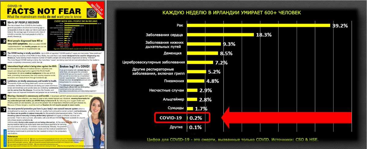 Ключевые тренды российского ритейла на фоне второй волны пандемии covid-19 | retail.ru