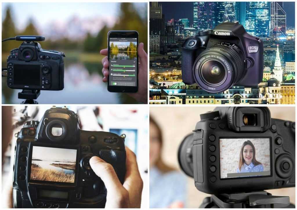 Какой фотоаппарат выбрать начинающему фотографу в 2019 году?