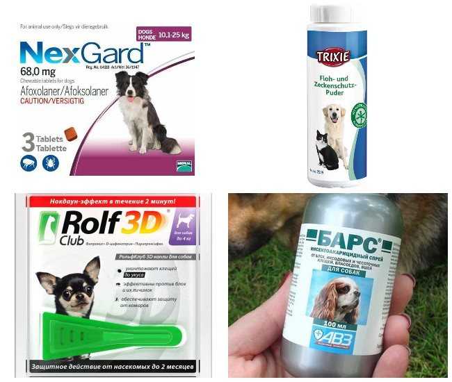 Таблетки для собак от блох и клещей для лечения и профилактики заболеваний
таблетки для собак от блох и клещей для лечения и профилактики заболеваний