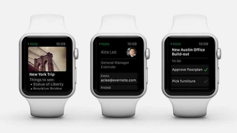 Выходные с apple watch se: лучшие часы компании — wylsacom