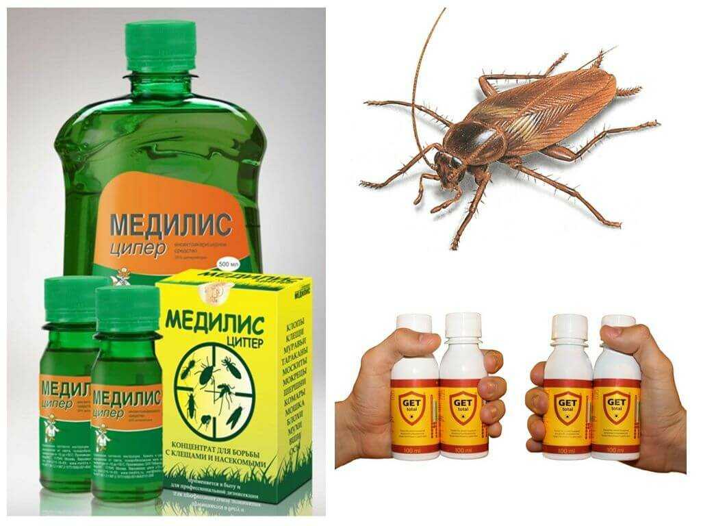 Рейтинг самых эффективных средств от тараканов в квартире: лучшие препараты для борьбы с насекомыми. 10 самых эффективных средств от тараканов в квартире — самый полный обзор и советы по использованию