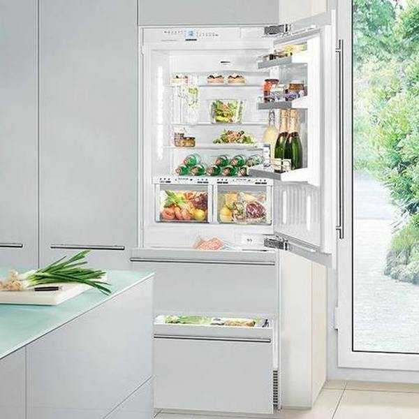 Лучшие встраиваемые холодильники  по мнению экспертов и по отзывам покупателей Достоинства и недостатки популярных моделей