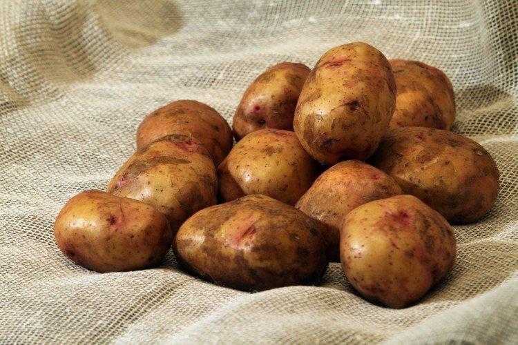 Рассыпчатые сорта картофеля для средней полосы. список лучших сортов картофеля по алфавиту