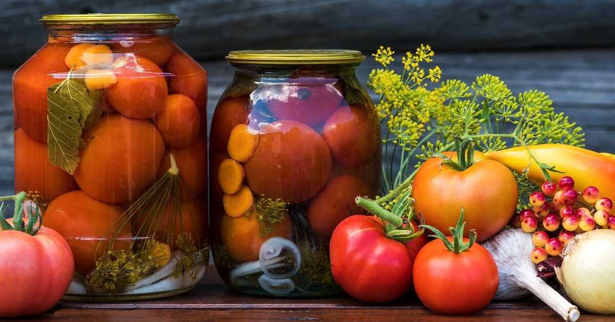 Засолочные сорта томатов: описание, отзывы, фото