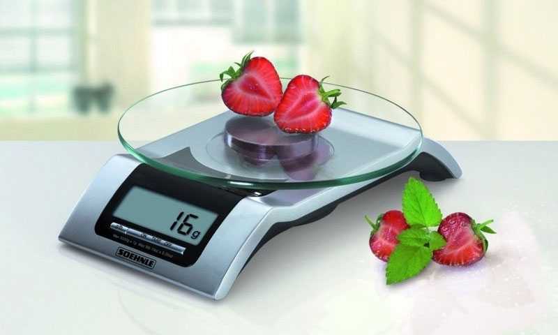 Как выбрать кухонные электронные весы: рейтинг топ-20 лучших моделей, обзор характеристик, отзывы