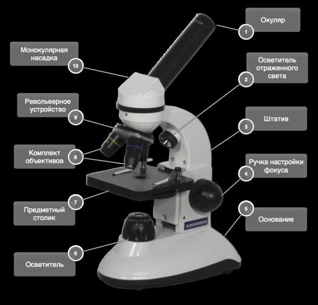Топ-10 лучших микроскопов – рейтинг 2021 года