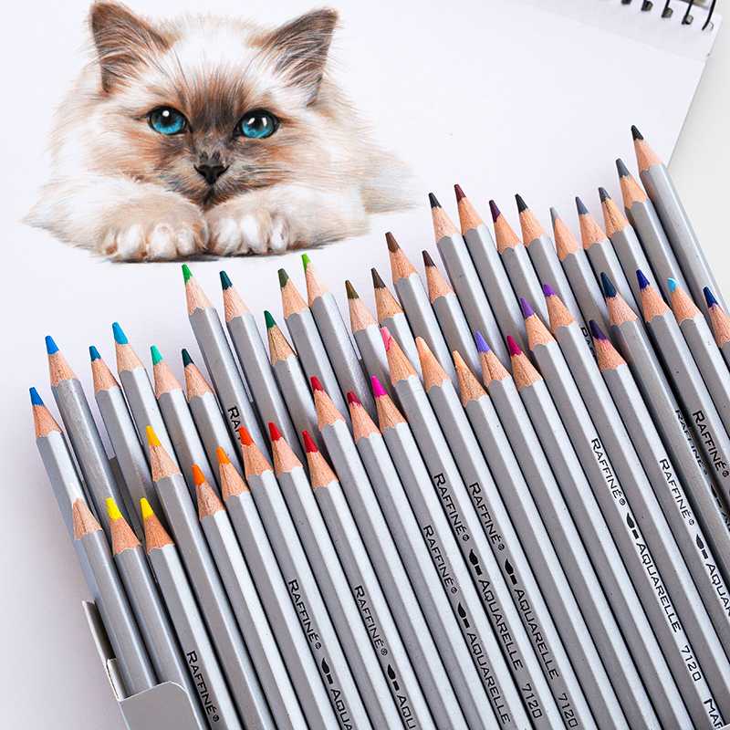 Лучшие карандаши для рисования для профессионалов и начинающих художников
