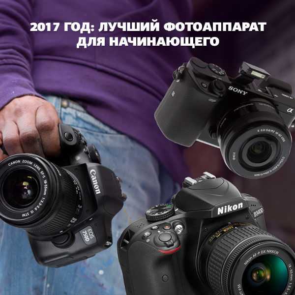 Рейтинг фотоаппаратов по качеству снимков 2021: лучшие модели