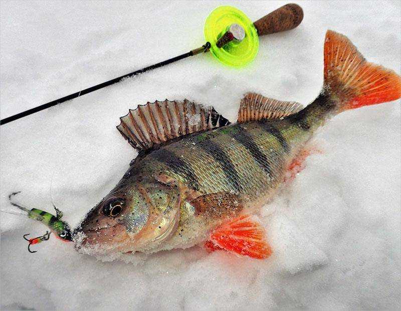 Лучшие балансиры на щуку зимой 🦅 охотник-рыболов.ru