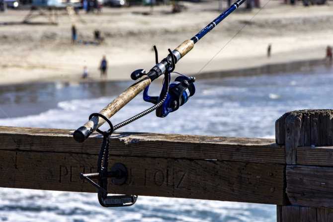 Топ-9 лучших бюджетных спиннингов для рыбалки