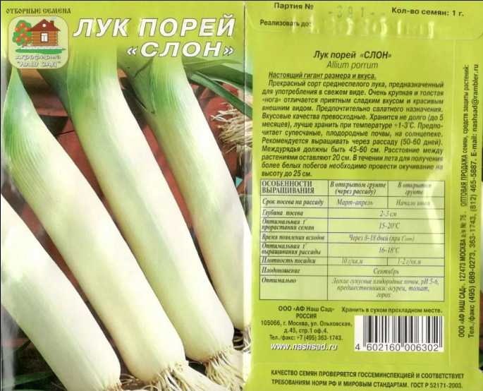 Советы по выращиванию лука порея для огородников ленинградской области, подмосковья и регионов средней полосы
