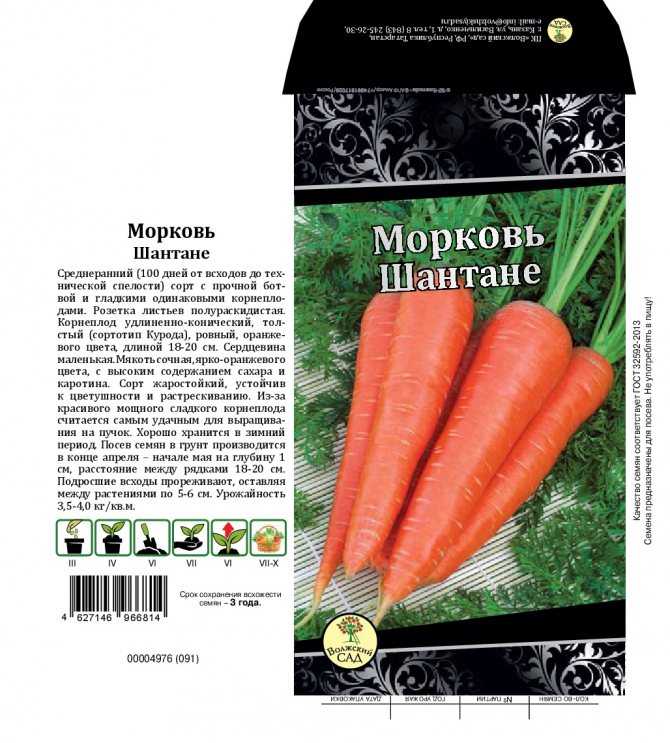 Топ-10 лучших сортов моркови, как выбрать самые вкусные сорта морковки