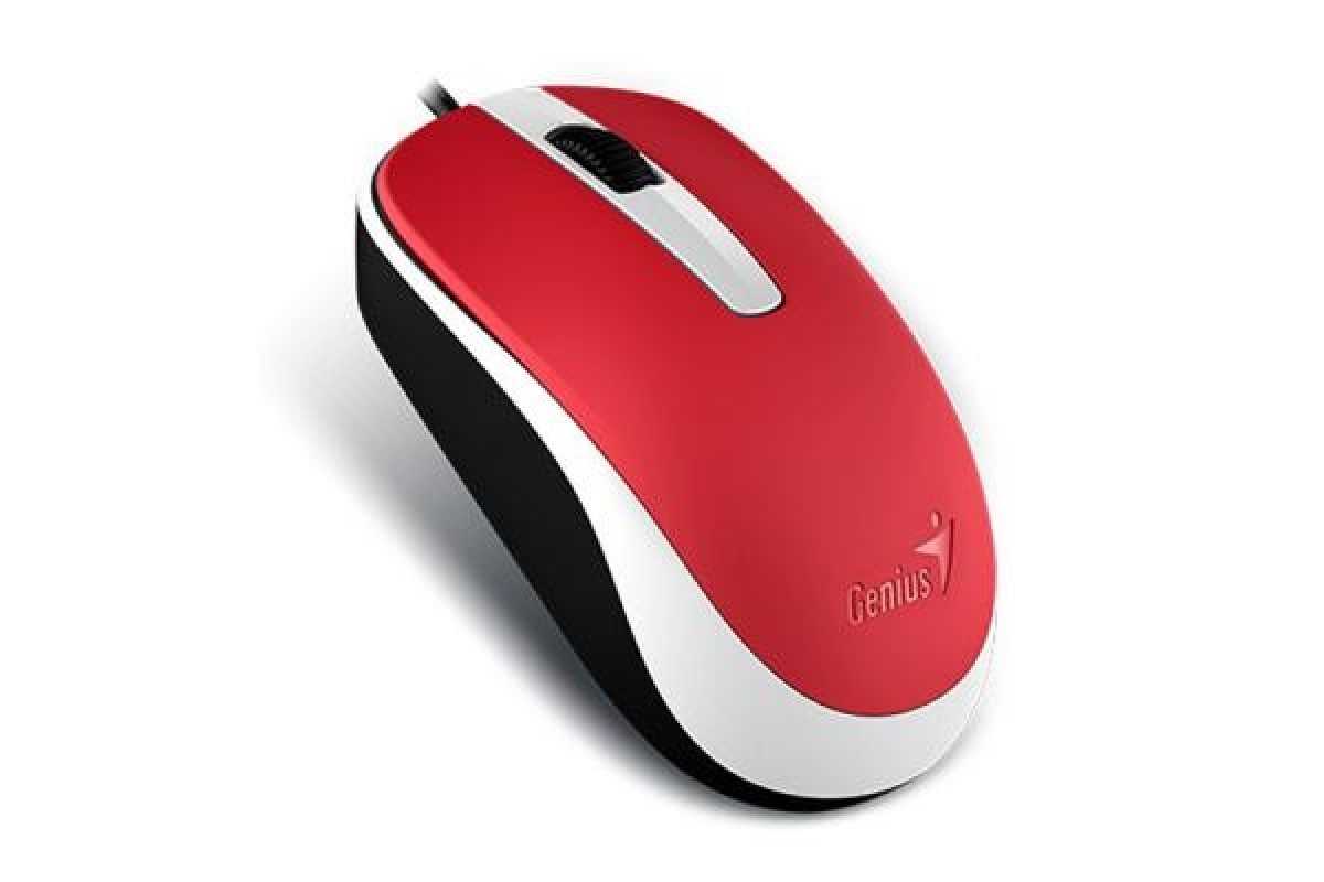 Беспроводная мышь genius dx-6810 red usb 2.0 — купить, цена и характеристики, отзывы