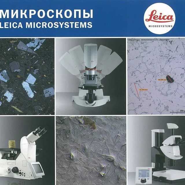 Как выбрать микроскоп для ребенка-школьника и рейтинг лучших моделей от ichip.ru  | ichip.ru