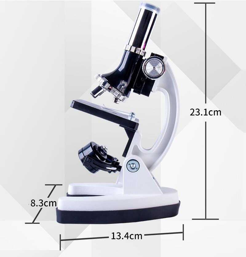 Микроскоп: какой выбрать для школьника, сколько стоит, какой лучше купить, рейтинг