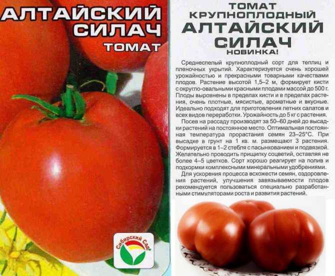Самые лучшие сорта томатов для подмосковья в 2020 году