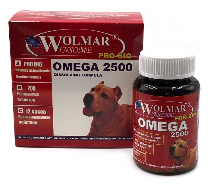 Витамины для пожилых собак крупных и мелких пород: обзор лучших средств
