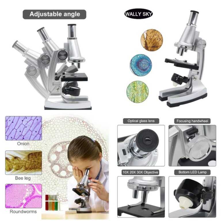 Лучшие микроскопы для школьников и студентов в 2021 году с плюсами и минусами