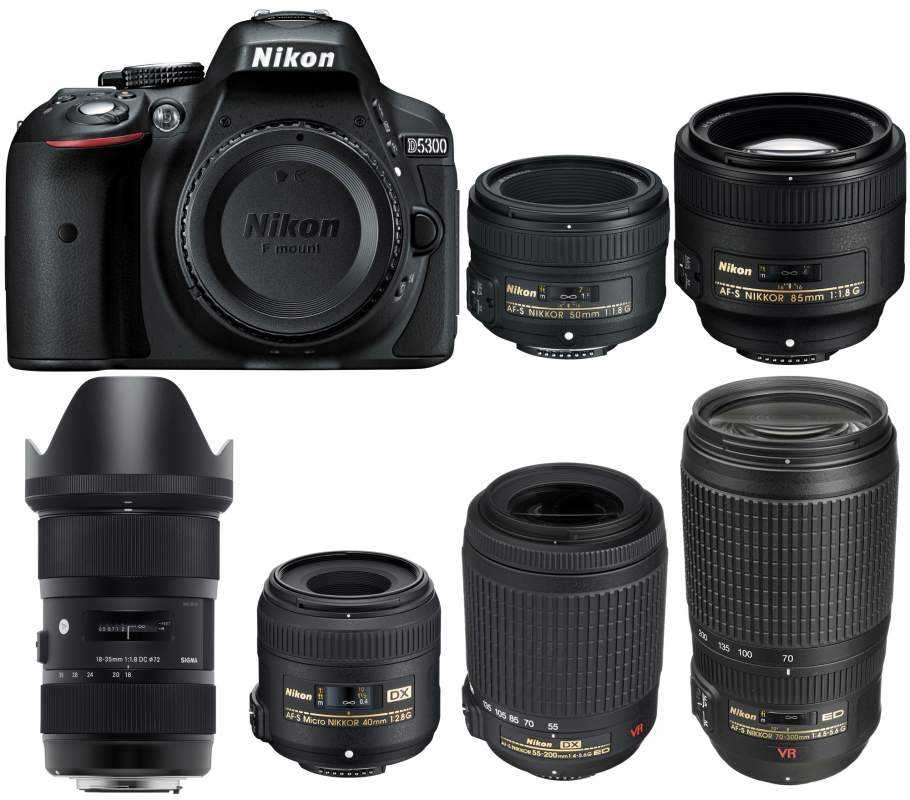 Nikon d3100 vs nikon d5100: в чем разница?