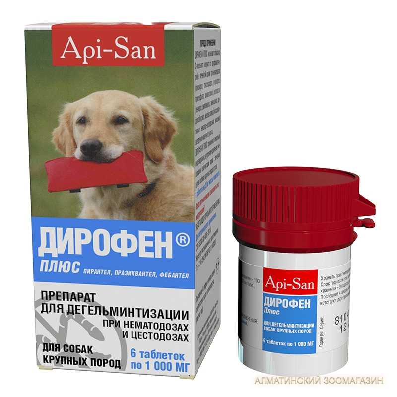 Топ-21 средство от глистов для собак