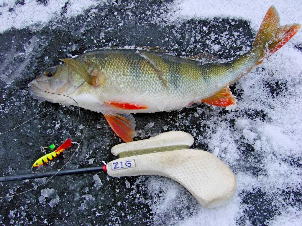 Костюмы рапала для зимней рыбалки