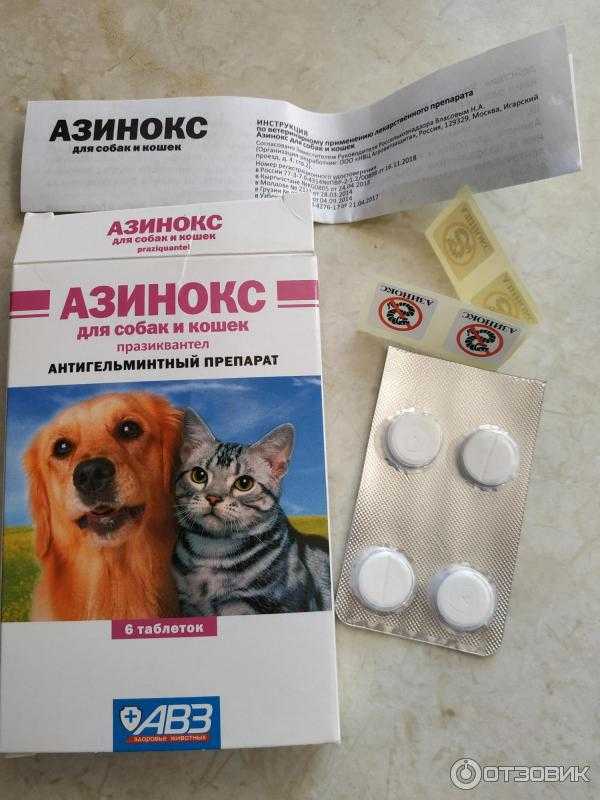 Лучшие глистогонные препараты для собак — обзор 17 лекарств от глистов