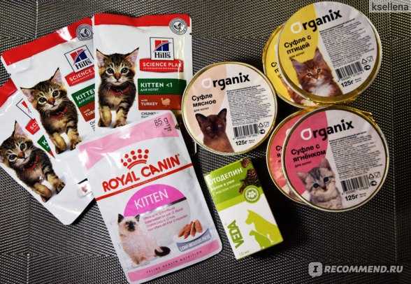 Особенности питания стерилизованных кошек и котов. какой корм выбрать своему питомцу?