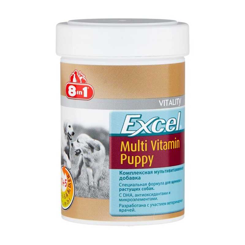 Топ-10 витаминов для собак