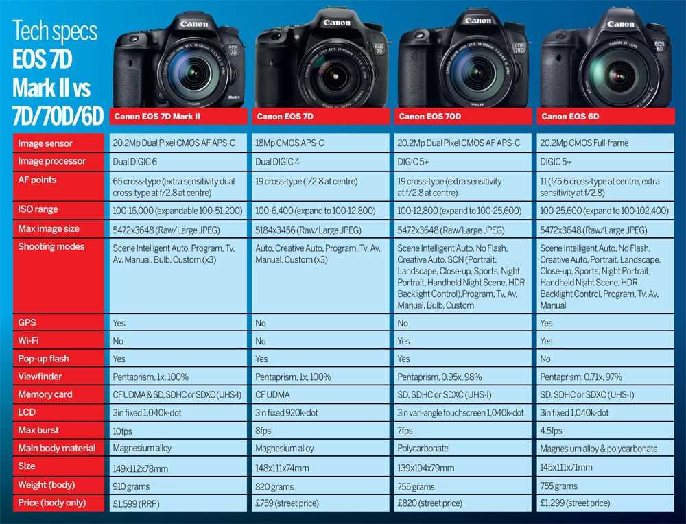 Лучшие зеркальные фотоаппараты для начинающих: рейтинг 2020-2021 года