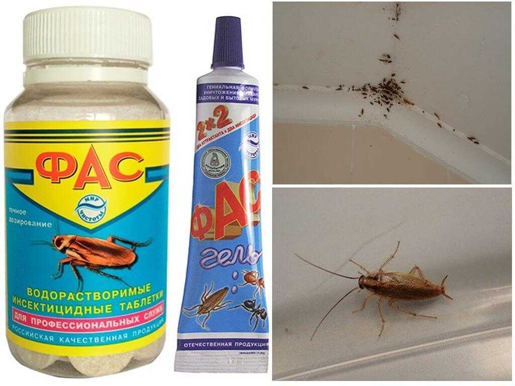 Самое эффективное средство от тараканов: лучшие средства для квартиры (отзывы)