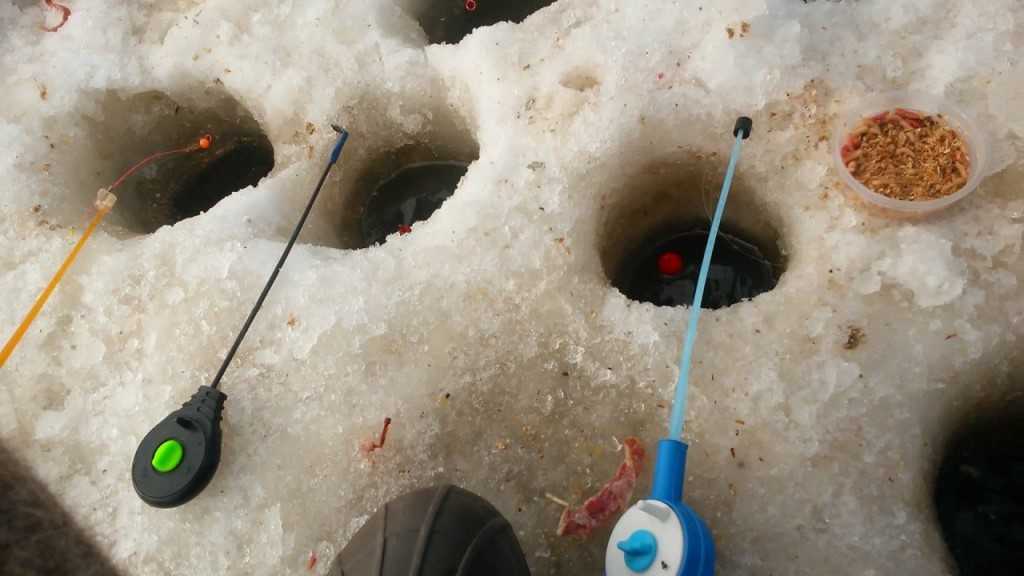 Обзор лучших зимних и летних приманок на карася  по отзывам опытных рыболовов
