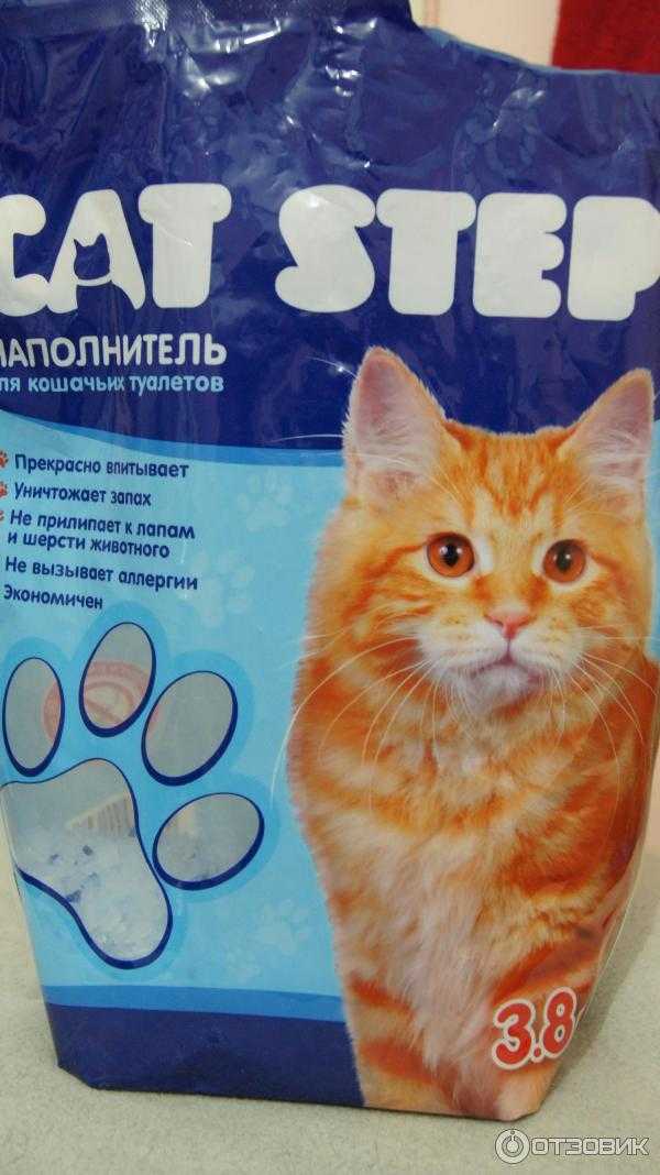 Как выбрать наполнитель для кошачьего туалета - fresh cat