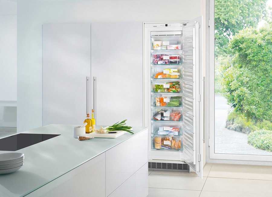 Обзор лучших узких холодильников  по отзывам экспертов и покупателей Плюсы и минусы самых узких холодильников