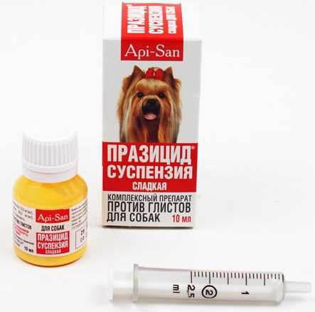 Лучшие глистогонные препараты для собак — обзор 17 лекарств от глистов