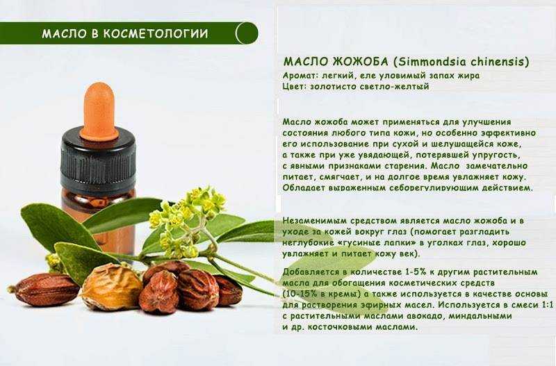 Лучшие эфирные масла для поддержания молодости кожи (ч. 1) | svclinica - искусство современной косметологии!