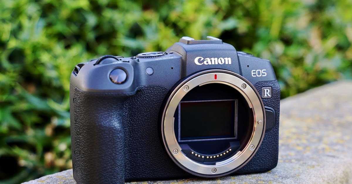 10 лучших профессиональных фотоаппаратов – рейтинг 2021 года