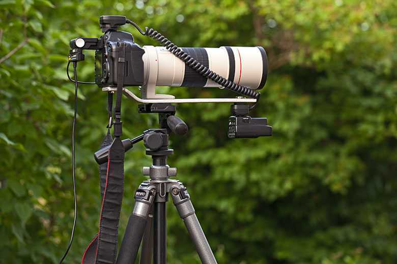 Фотоаппараты топ 10 лучшие из дешевых для профессиональной съемки