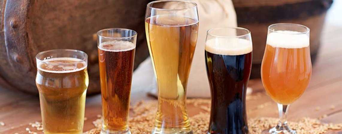 Приготовление дома пенного и ароматного пива! рейтинг лучших домашних пивоварен на 2021 год