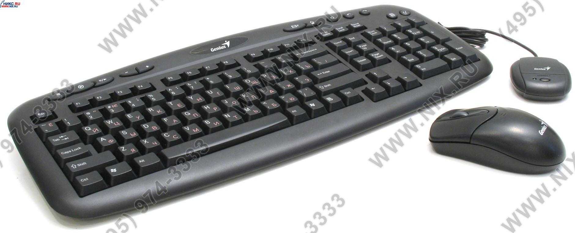 Клавиатура genius kb-200 usb black — купить, цена и характеристики, отзывы