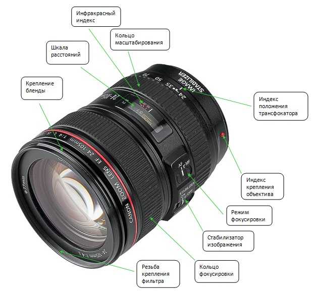 Какие объективы наиболее востребованы для фотоаппарата никон д3200?