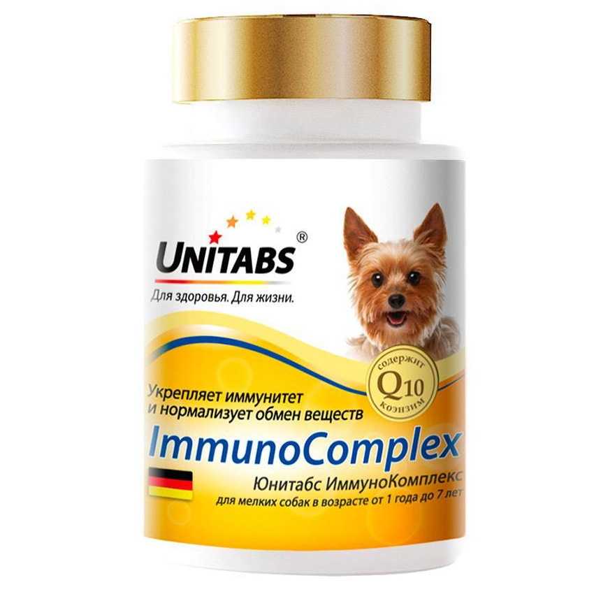 Витамины для собак: топ-10 и рекомендации по выбору