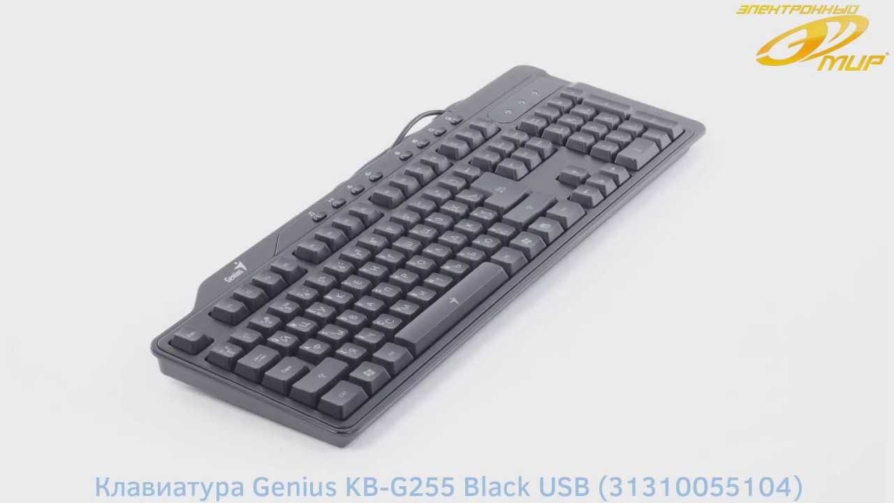Клавиатура genius kb-200 usb black — купить, цена и характеристики, отзывы